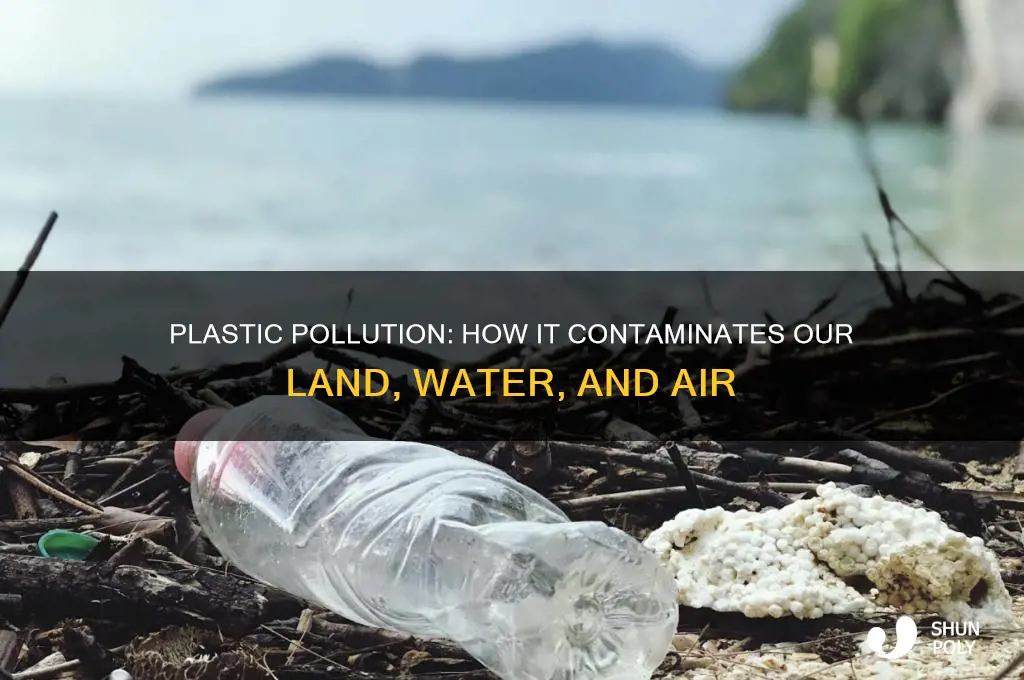 what gets poluted by plastic