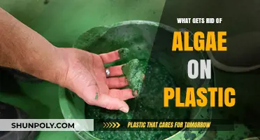 Effective Ways to Remove Algae from Plastic Surfaces Easily
