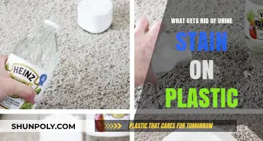 Effective Ways to Remove Urine Stains from Plastic Surfaces