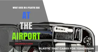 Airport Security Essentials: What to Pack in Your Plastic Bag
