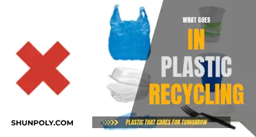 The Intricacies of Plastic Recycling: What, Why, and How?