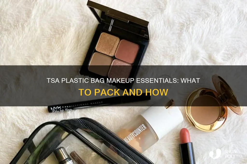 what goes in tsa plastic bag makeup