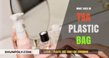 TSA Plastic Bag Essentials: What to Pack for Airport Security