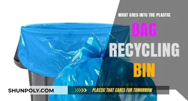 Recycling Right: What Belongs in Your Plastic Bag Bin
