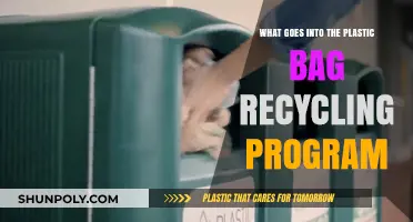 Understanding the Plastic Bag Recycling Program: Process, Benefits, and Participation