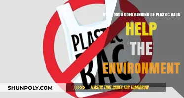 Banning Plastic Bags: A Small Step, Big Environmental Impact