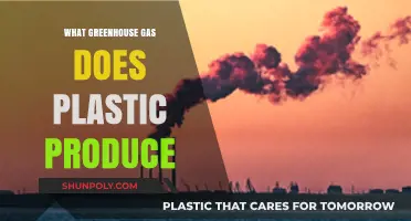 Plastic's Dark Secret: The Greenhouse Gas Effect