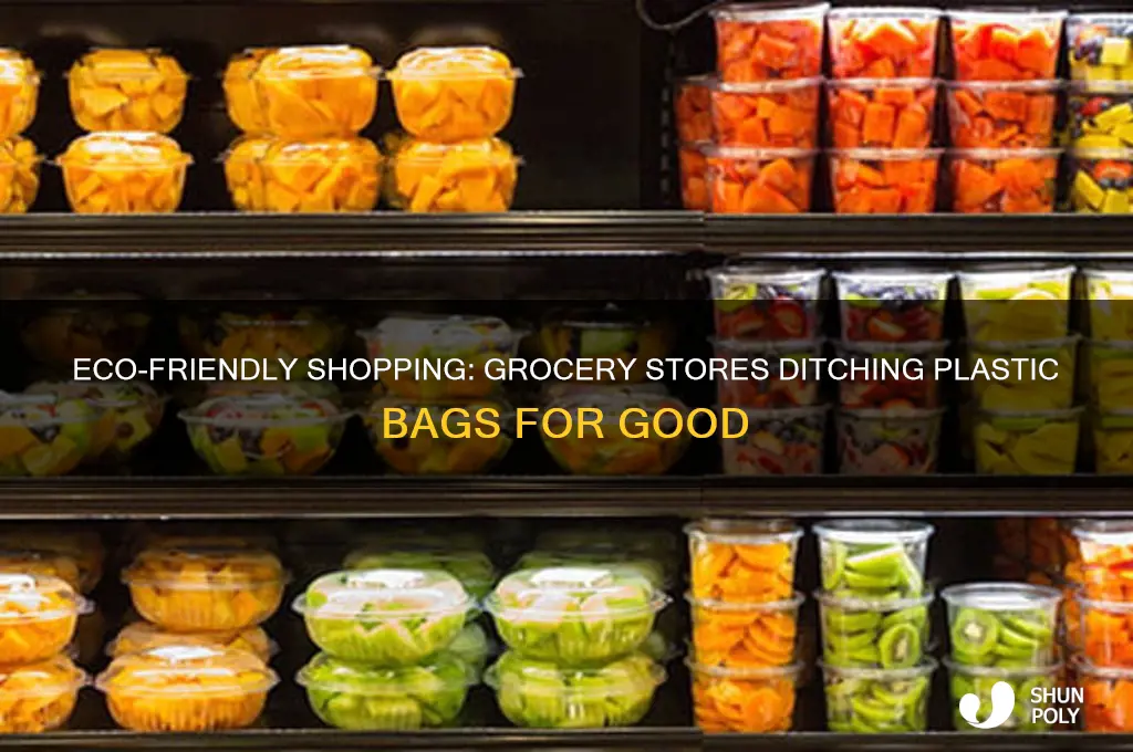 Eco-Friendly Shopping: Grocery Stores Ditching Plastic Bags For Good