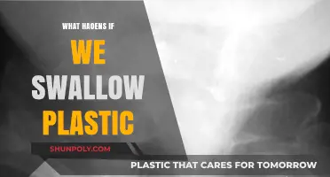 Plastic Ingestion: Understanding the Health Risks and Impact