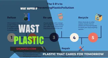 The Impact of Plastic Waste on Our Planet