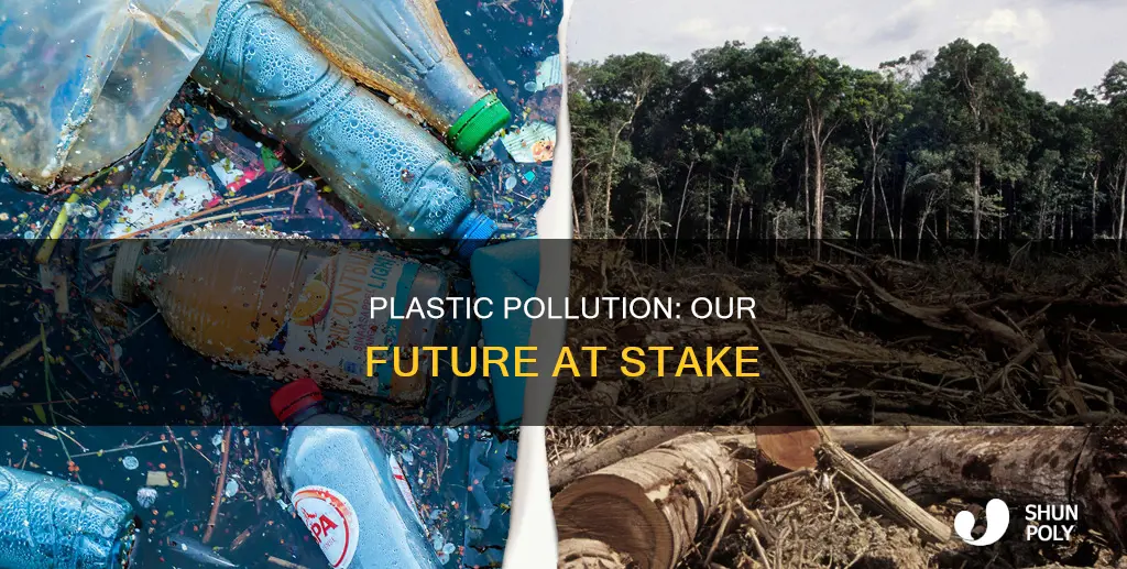 what happen if i waste plastic