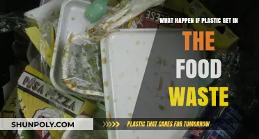 Plastic in Food Waste: Environmental Risks and Sustainable Solutions