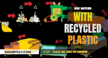 Where Does Recycled Plastic Go?