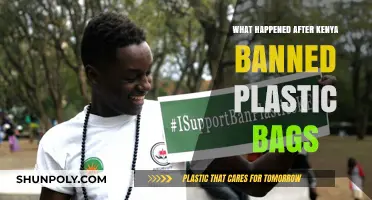 Kenya's Plastic Bag Ban: Environmental Impact and Economic Shifts