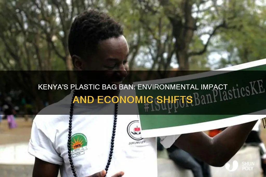 what happened after kenya banned plastic bags