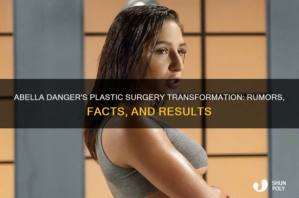 what happened to abella danger plastic surgery