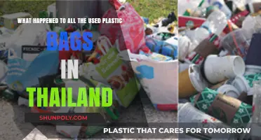 Thailand's Plastic Bag Crisis: Where Do the Used Bags Go?