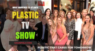 Atlanta Plastic: What Happened to the TV Show?