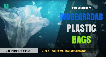 The Disappearance of Biodegradable Plastic Bags: What Really Happened?