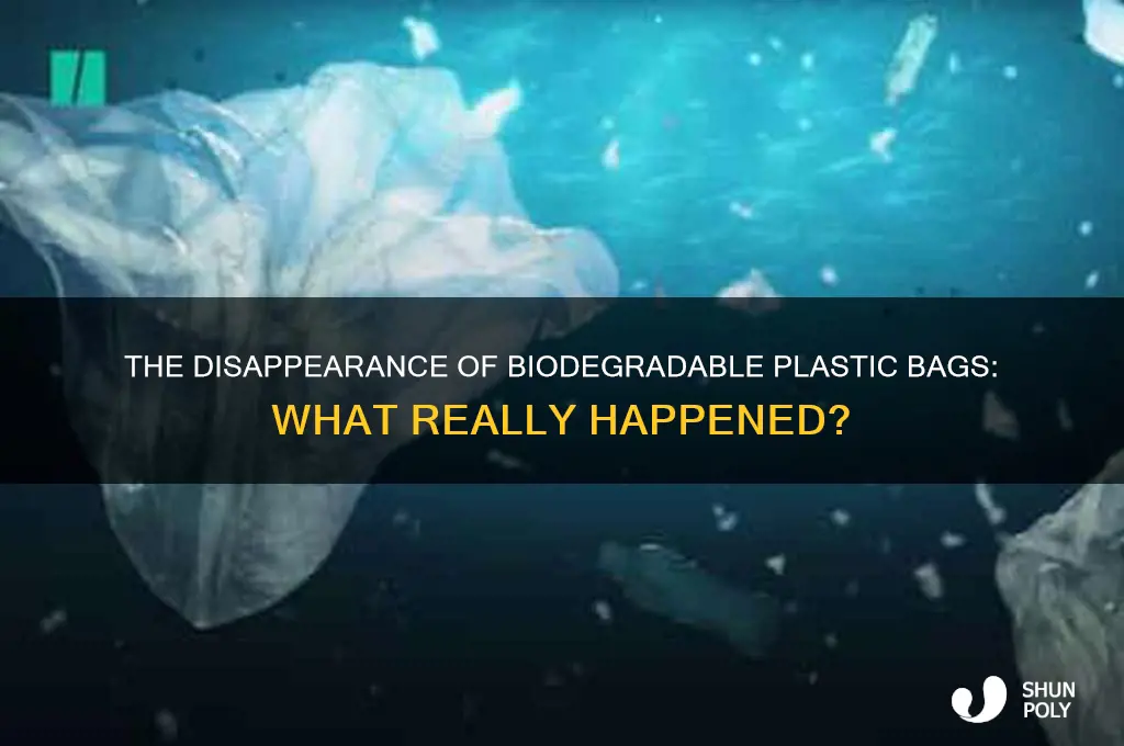 what happened to biodegradable plastic bags