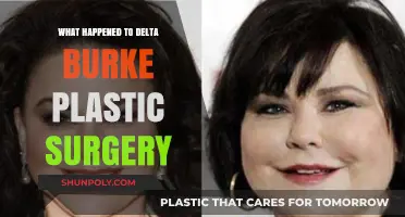 Delta Burke's Plastic Surgery Journey: Truths, Rumors, and Aftermath