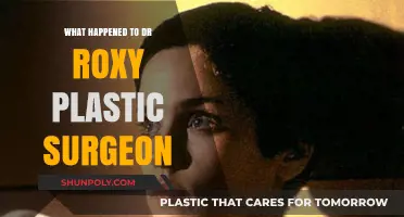 Dr. Roxy's Disappearance: Unraveling the Mystery of the Plastic Surgeon