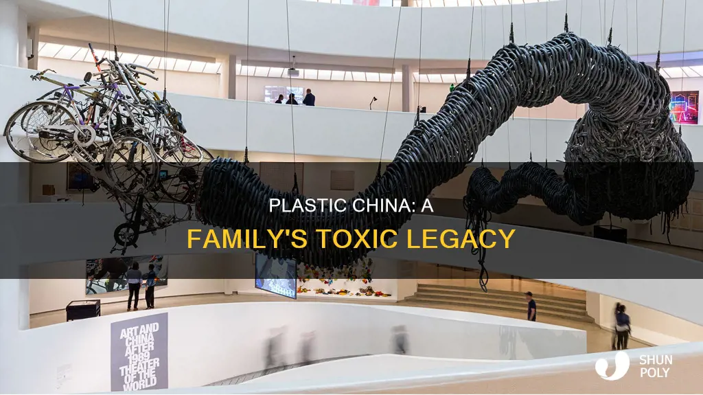 what happened to family in plastic china