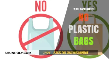 Where Did Plastic Bag Bans Go? Unraveling the Environmental Impact