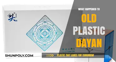 The Evolution of Plastic Dayan: What Changed?