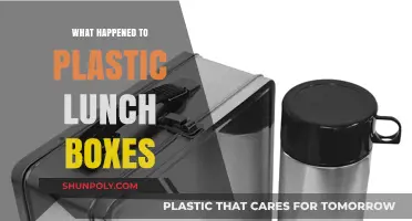 The Evolution of Plastic Lunch Boxes: Where Are They Now?