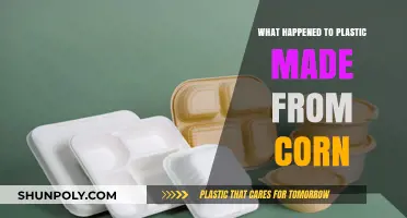 Corn-Based Plastic: Its Rise, Fall, and Environmental Legacy Explained