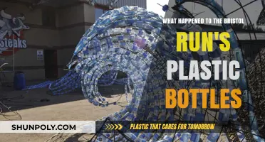 Bristol Run's Plastic Bottles: Where Did They Go?