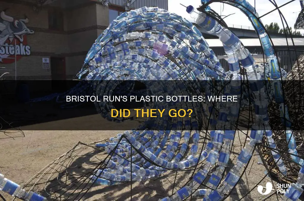 what happened to the bristol run