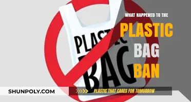 Plastic Bag Ban: What Happened and Where Do We Go?