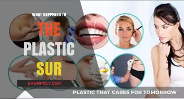 The Plastic Surgery Craze: What Happened?