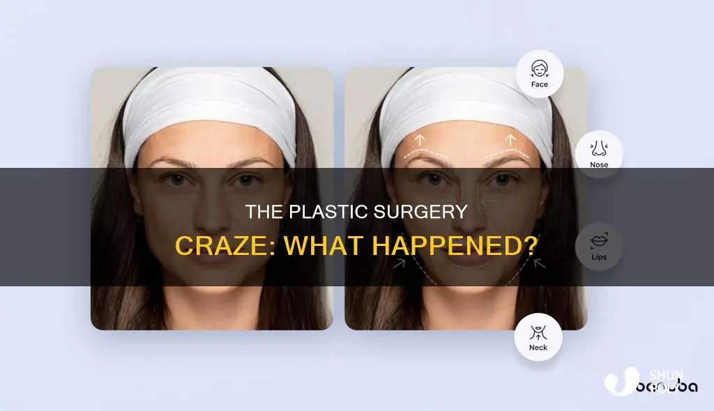 what happened to the plastic sur