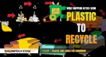 How Plastic Recycling Works: A Step-by-Step Guide