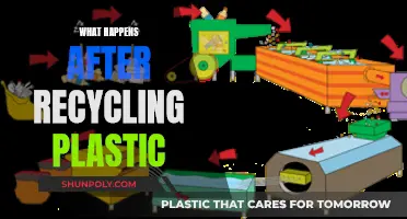 The Journey of Recycled Plastic: What Really Happens Next