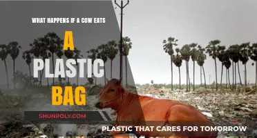 Plastic Bag Peril: Consequences for Cows and Environmental Impact