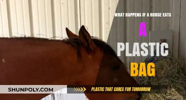 Plastic Bag Danger: What Happens When Horses Ingest Foreign Objects?