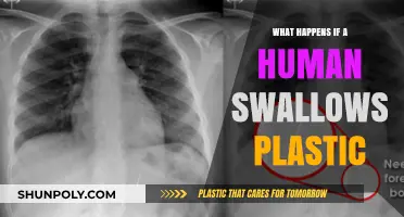 Plastic Ingestion: Understanding the Human Body's Response