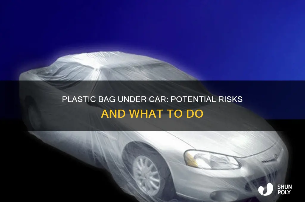 what happens if a plastic bag goes under your car