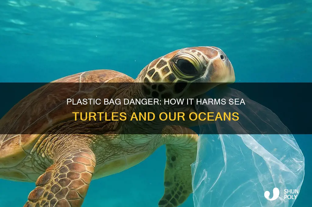 what happens if a sea turtle eats a plastic bag