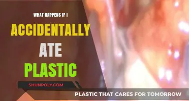 Accidental Plastic Ingestion: What are the Risks?