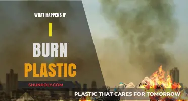 Burning Plastic: The Toxic Truth