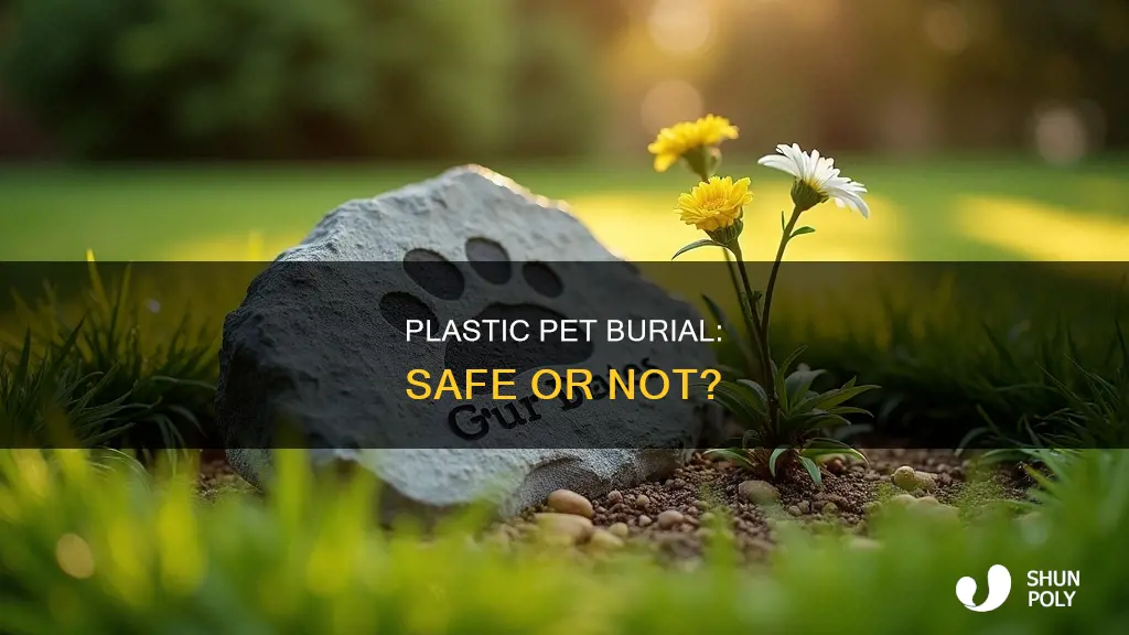 what happens if i bury my dog in plastic container