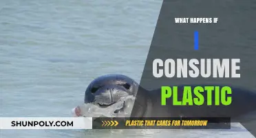 Plastic Consumption: Its Impact on Human Health