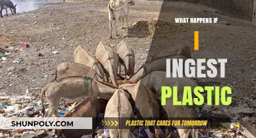 Plastic Ingestion: Understanding the Health Risks and Dangers