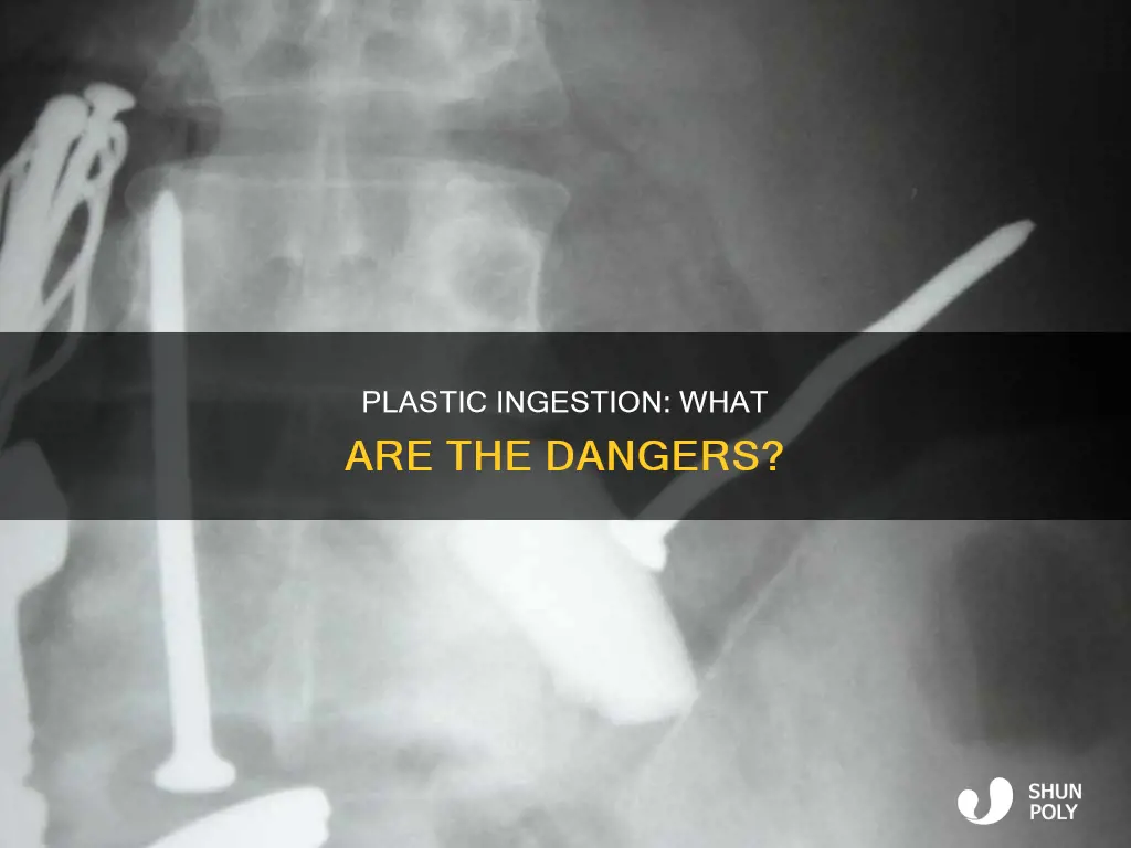 what happens if i swallow plastic wrapper