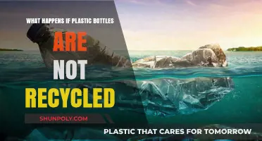 The Devastating Impact of Unrecycled Plastic Bottles on Our Planet